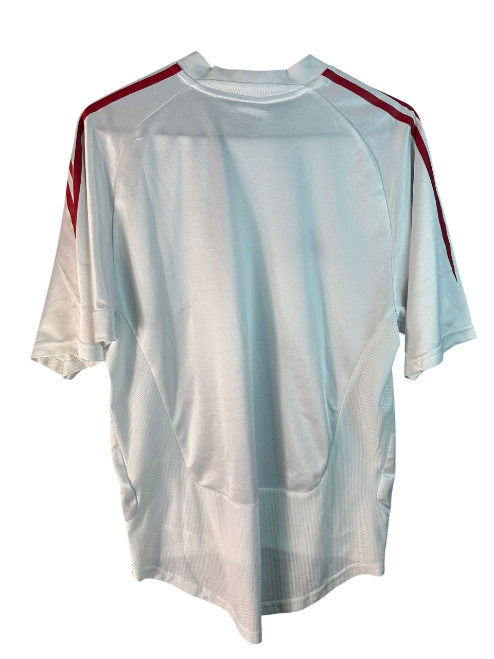 2004/2005 Danemark Domicile (S)